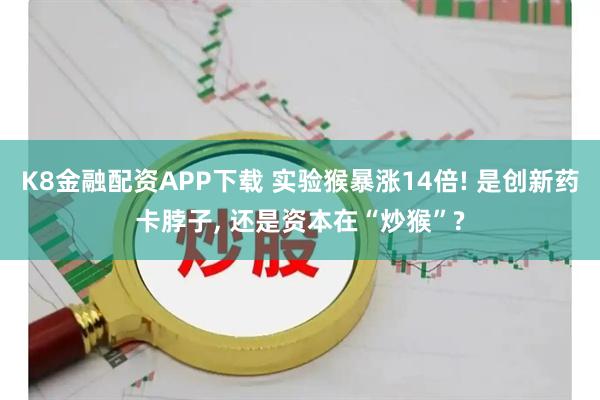 K8金融配资APP下载 实验猴暴涨14倍! 是创新药卡脖子, 还是资本在“炒猴”?
