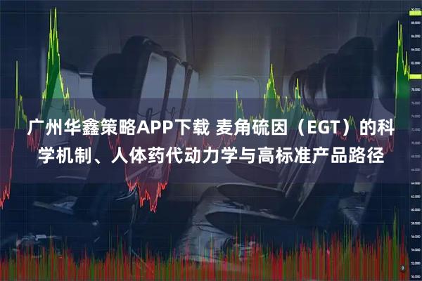 广州华鑫策略APP下载 麦角硫因(EGT)的科学机制、人体药代动力学与高标准产品路径