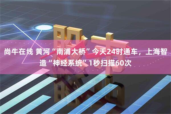 尚牛在线 黄河“南浦大桥”今天24时通车，上海智造“神经系统”1秒扫描60次